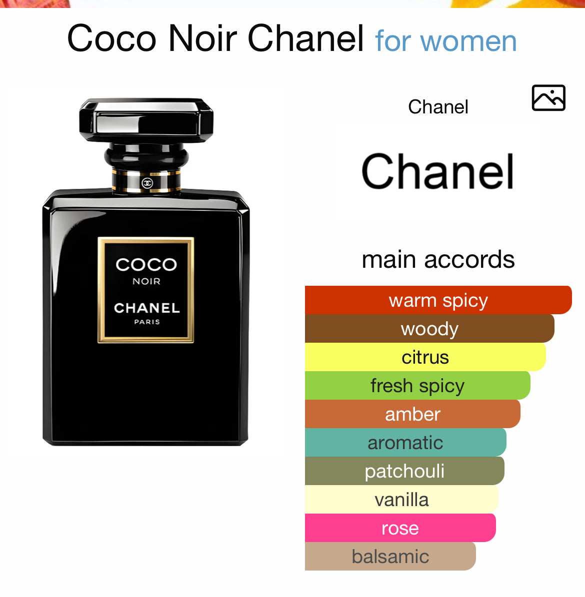 Coco Noir Chanel